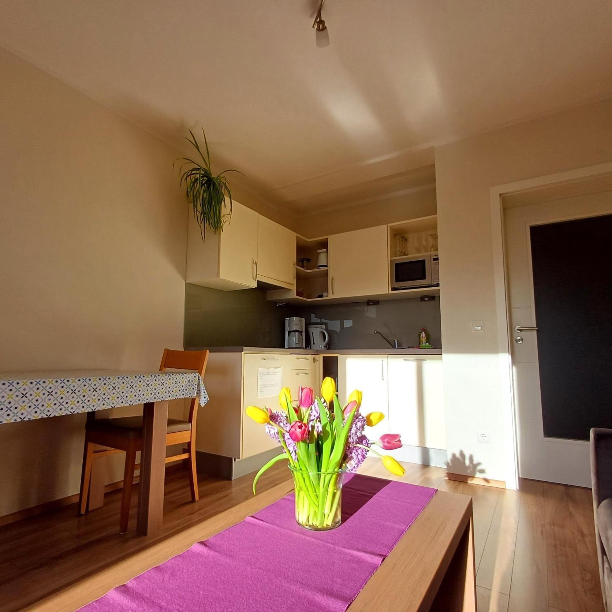Apartment Hölbinger Alm - *