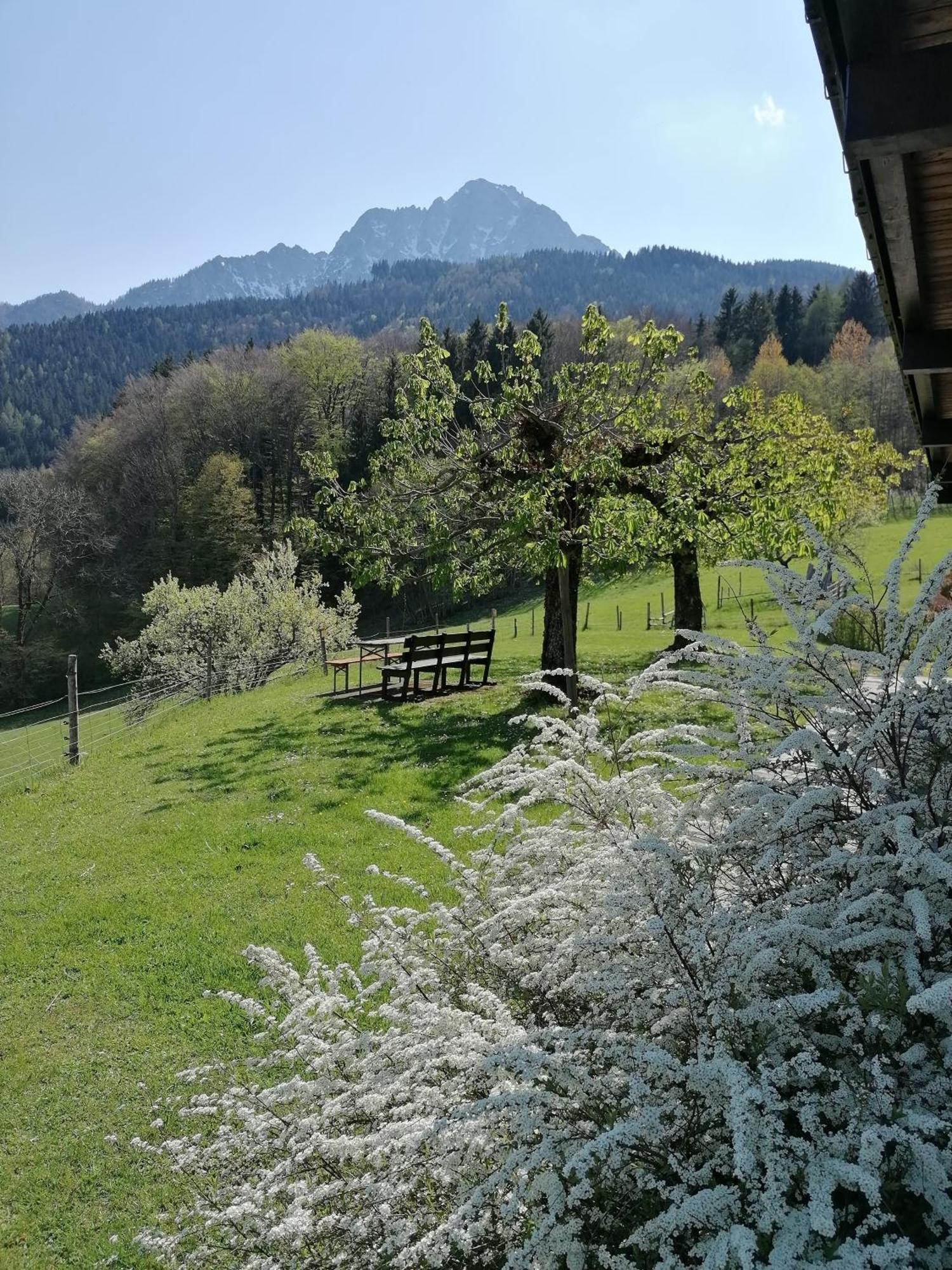 Hölbinger Alm - Apartment *