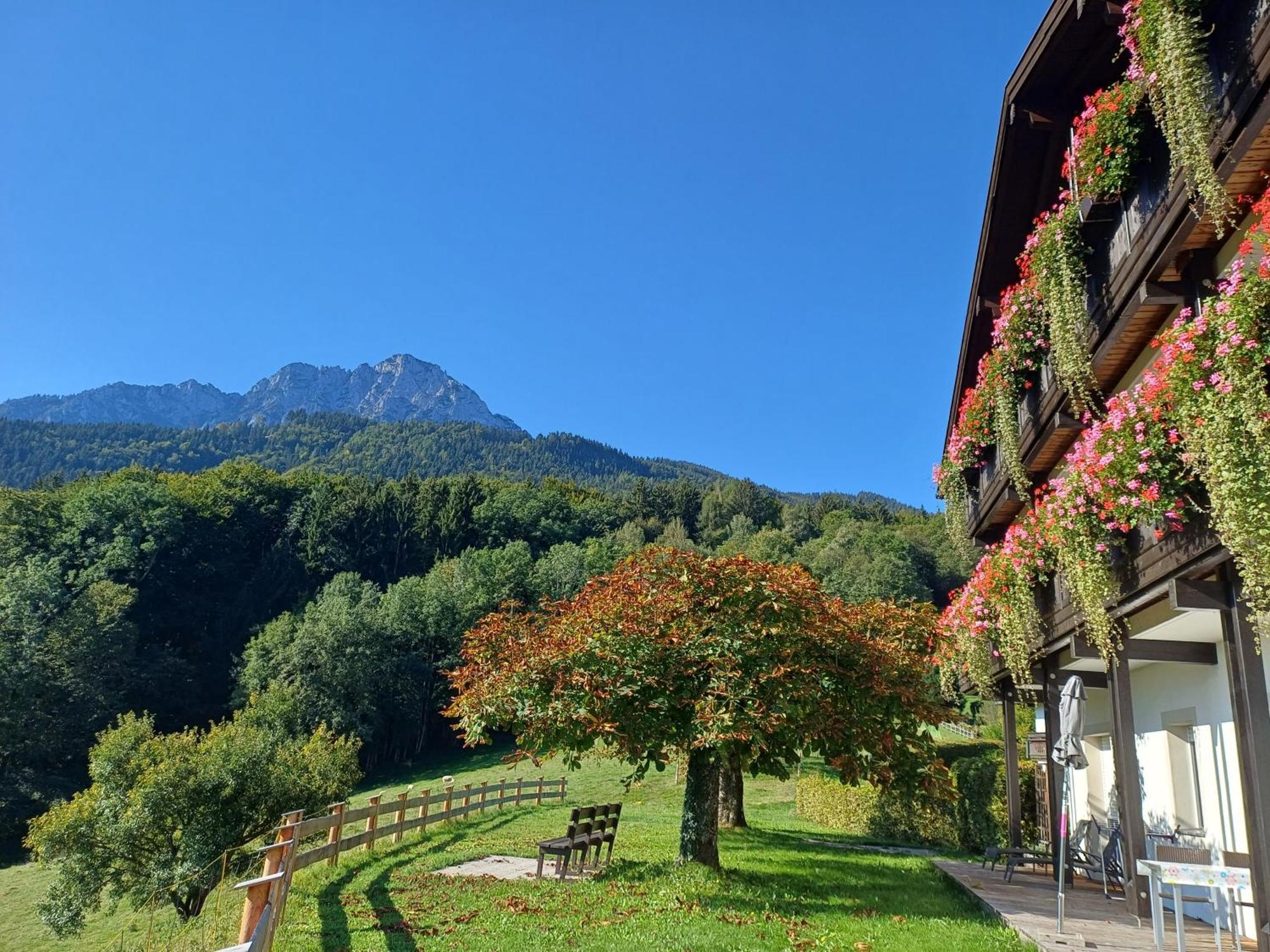 Hölbinger Alm - Apartment *