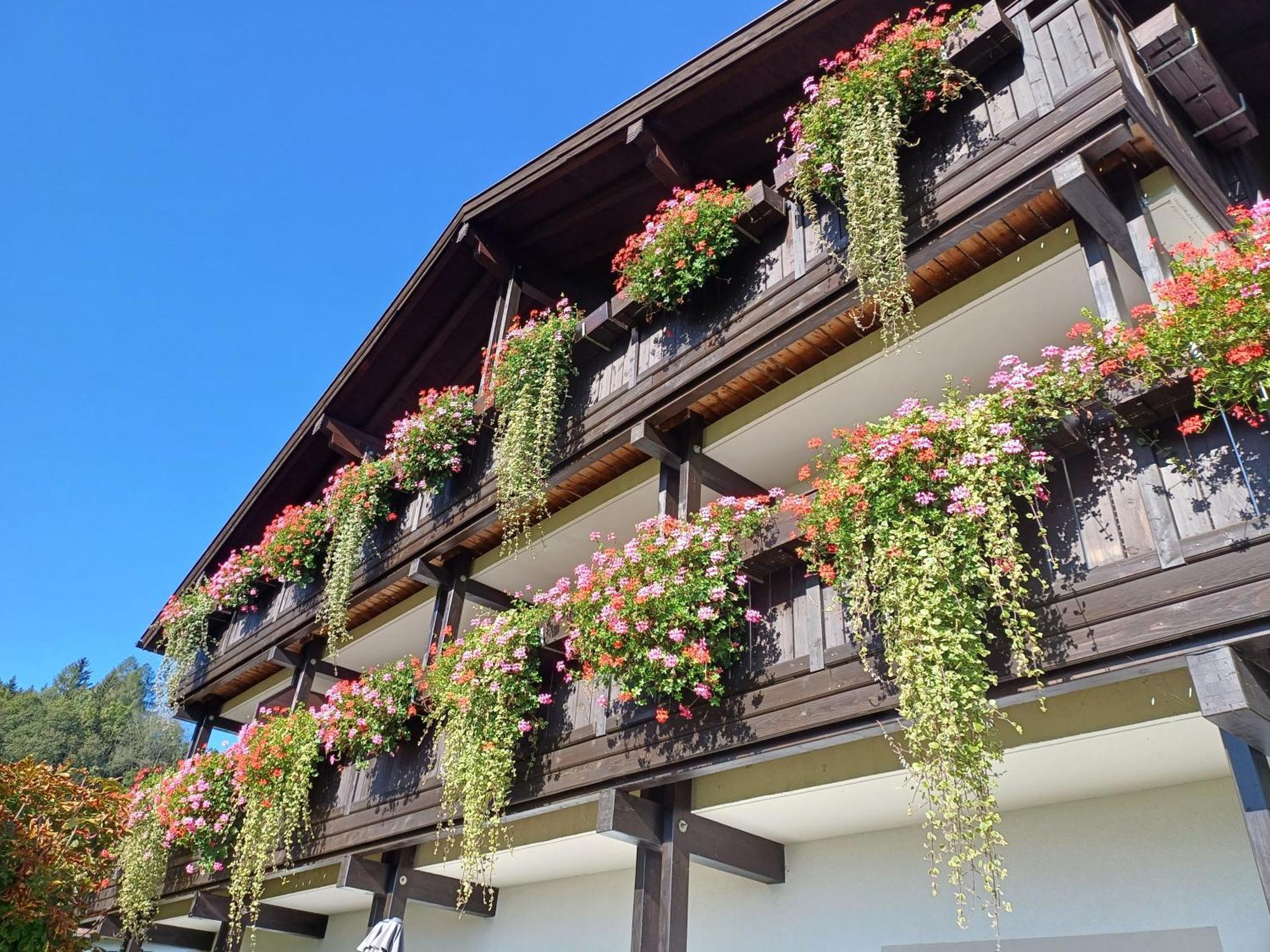 Hölbinger Alm - Apartment Anger