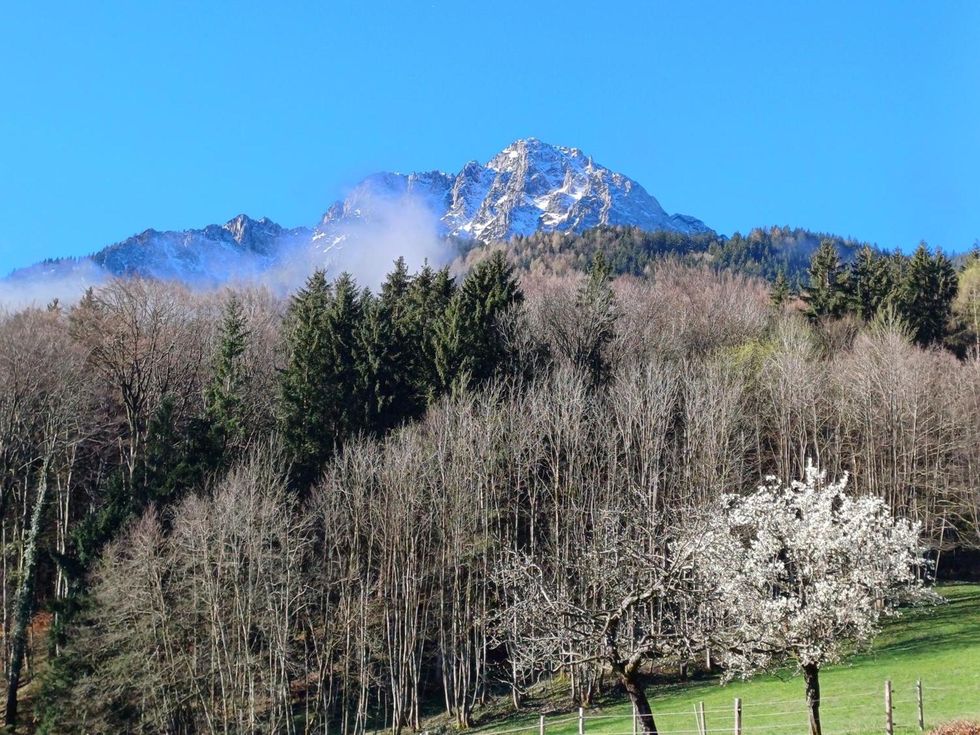 Hölbinger Alm - Anger