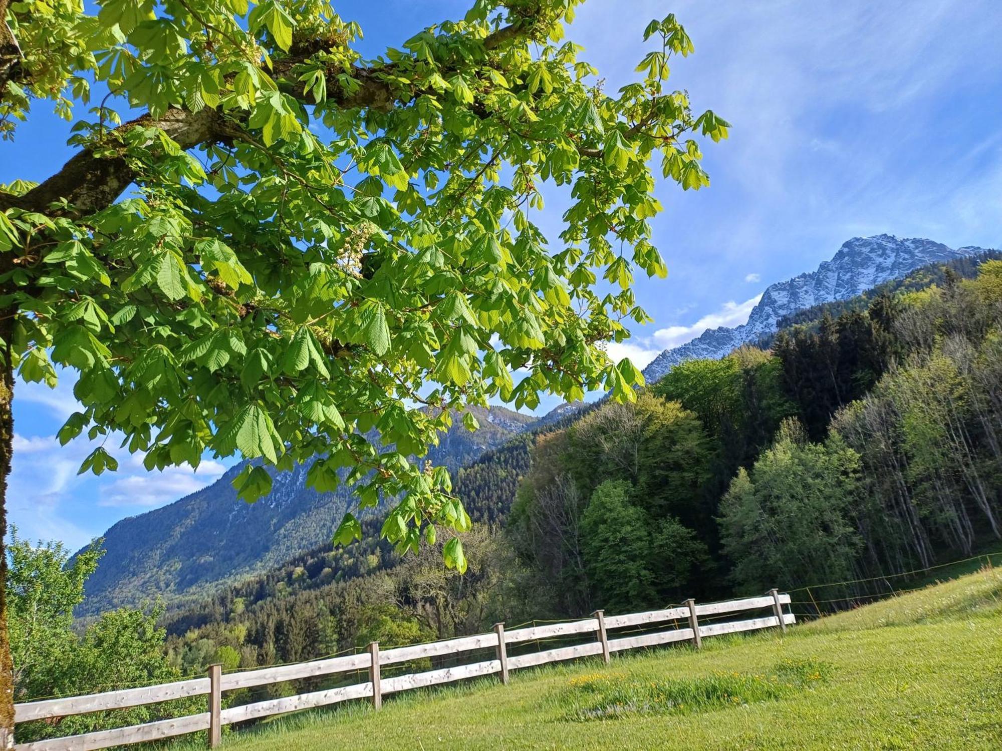 Hölbinger Alm - * Anger
