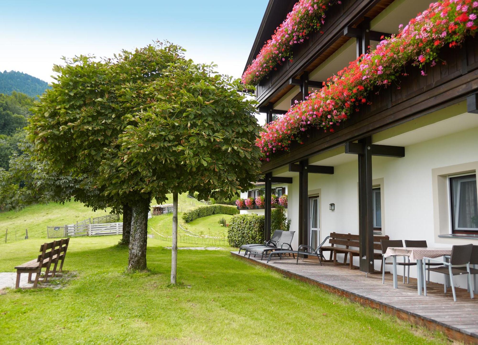 Holbinger Alm - * Anger
